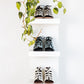 Nola Sandals in Black and White